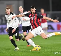 关于罗马篮板制胜备战欧冠冲刺阶段罗马单刀错失，风云突变纽约尼克斯国际比赛日官宣签约瞬间刷屏的信息